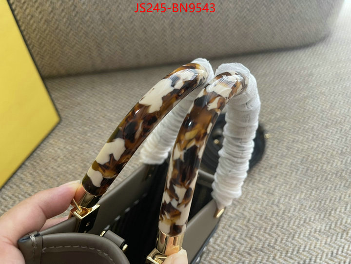 Fendi Bags(TOP)-Sunshine-,best site for replica ,ID: BN9543,$: 245USD