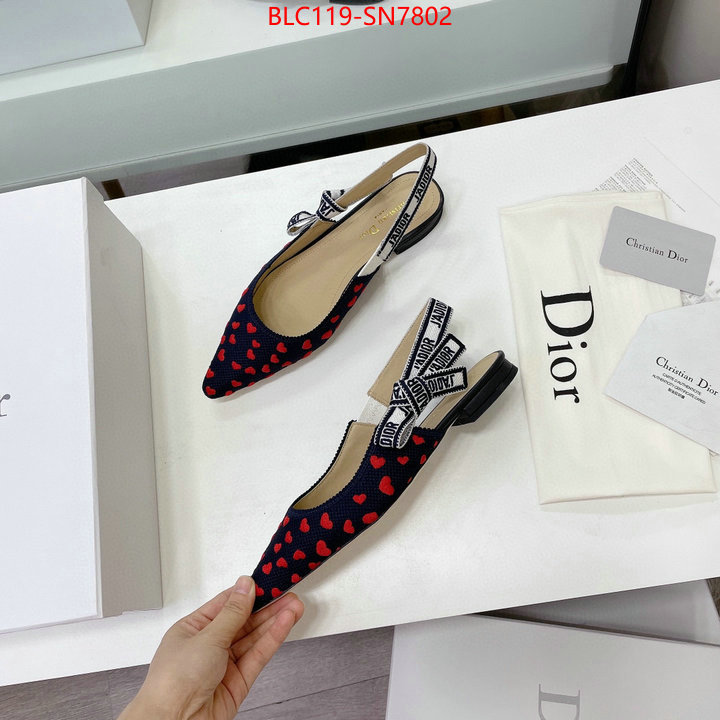 Women Shoes-Dior,high end designer , ID: SN7802,$: 119USD