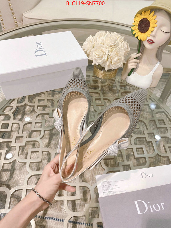 Women Shoes-Dior,sell online luxury designer , ID: SN7700,$: 119USD