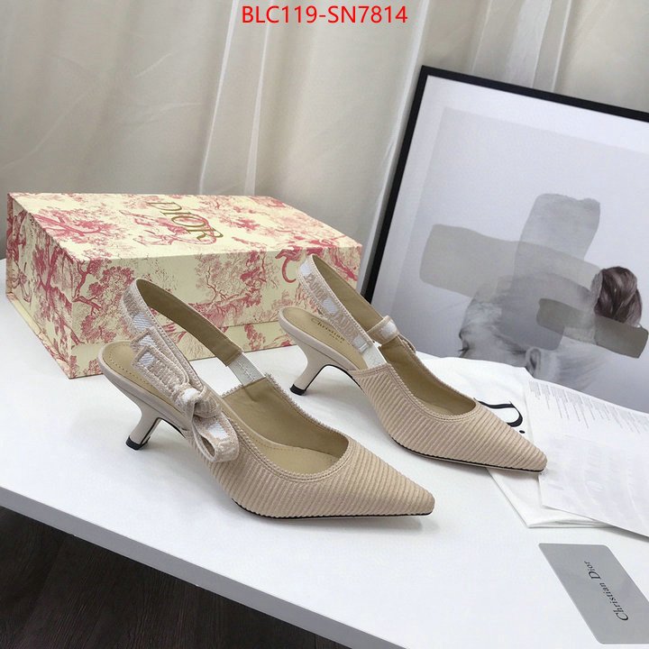 Women Shoes-Dior,how to find replica shop , ID: SN7814,$: 119USD