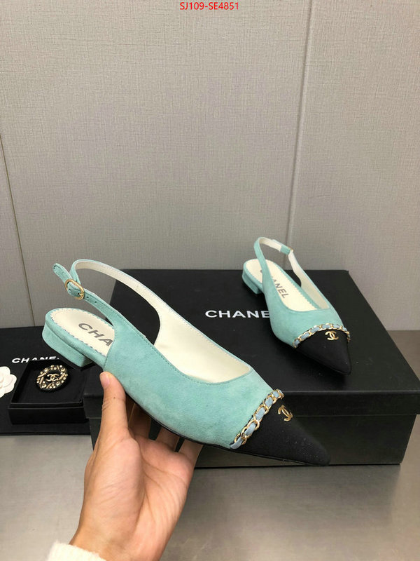 Women Shoes-Chanel,can you buy knockoff , ID: SE4851,$: 109USD