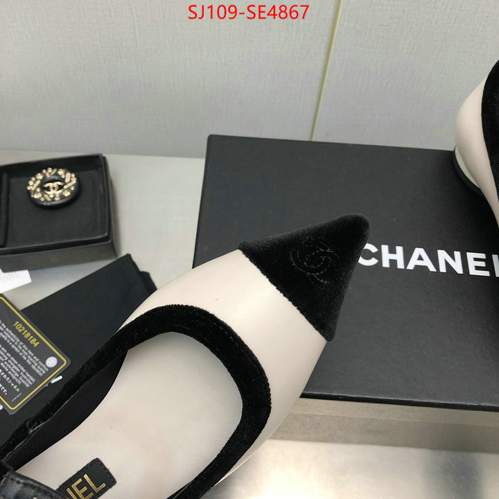 Women Shoes-Chanel,high-end designer , ID: SE4867,$: 109USD