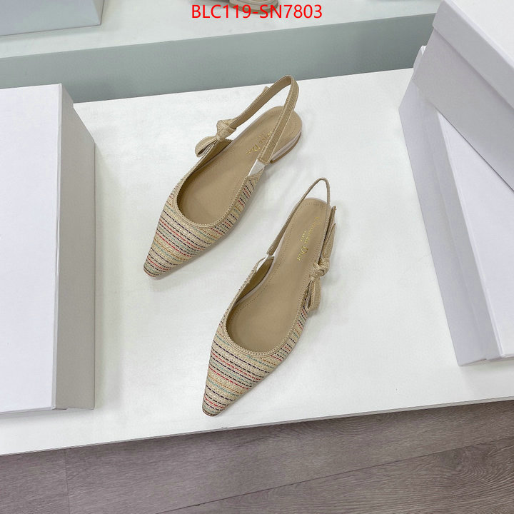 Women Shoes-Dior,replica designer , ID: SN7803,$: 119USD