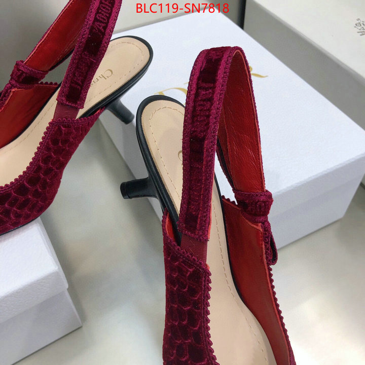 Women Shoes-Dior,aaaaa+ quality replica , ID: SN7818,$: 119USD