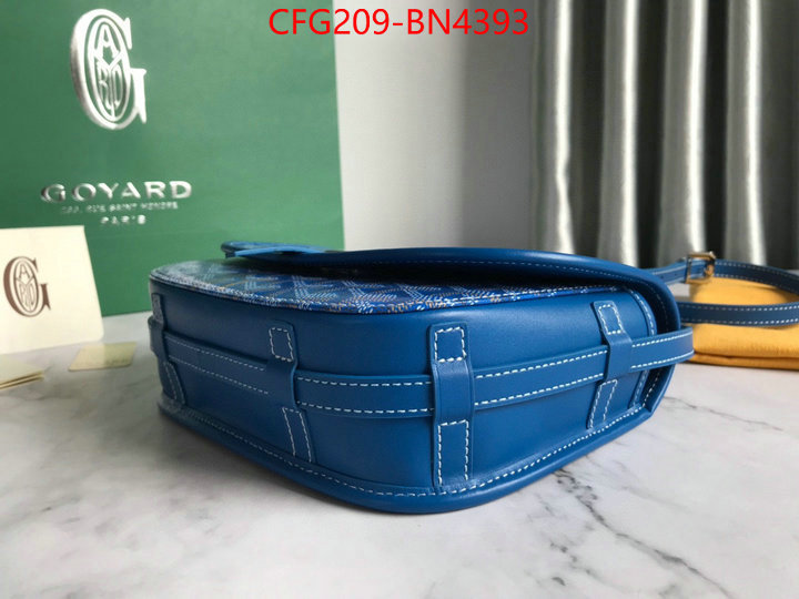 Goyard Bags(TOP)-Diagonal-,ID: BN4393,$: 209USD