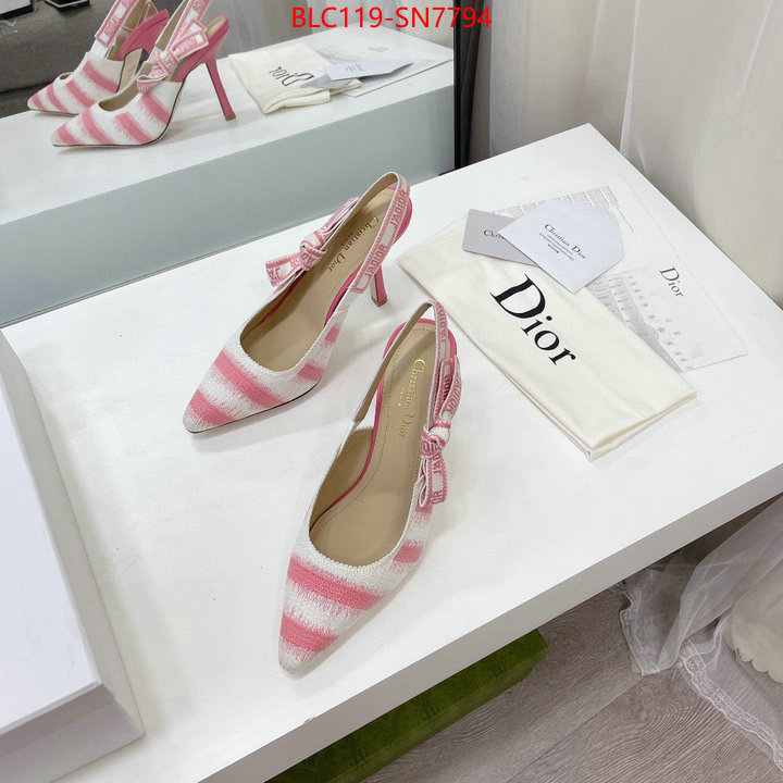 Women Shoes-Dior,online store , ID: SN7794,$: 119USD