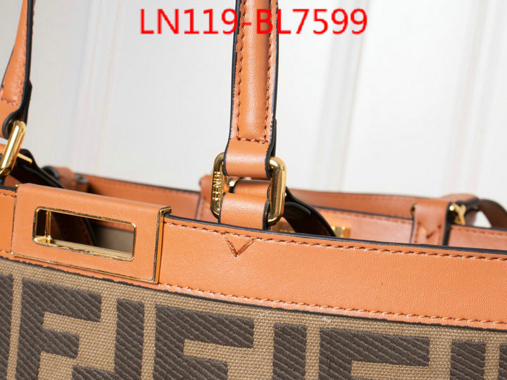 Fendi Bags(4A)-Handbag-,7 star collection ,ID: BL7599,$: 119USD