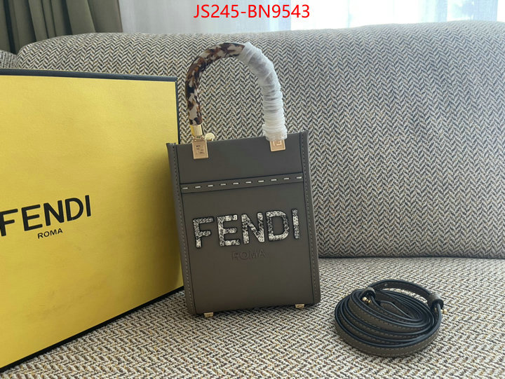 Fendi Bags(TOP)-Sunshine-,best site for replica ,ID: BN9543,$: 245USD