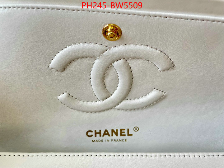 Chanel Bags(TOP)-Diagonal-,ID: BW5509,$: 245USD