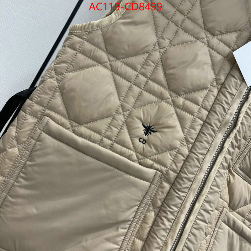 Down jacket Women-Dior,china sale , ID: CD8499,$: 119USD