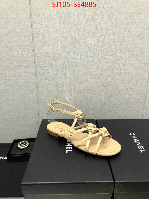 Women Shoes-Chanel,can i buy replica , ID: SE4885,$: 105USD