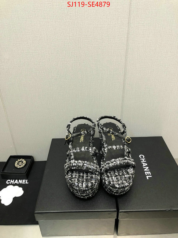 Women Shoes-Chanel,cheap replica designer , ID: SE4879,$: 119USD