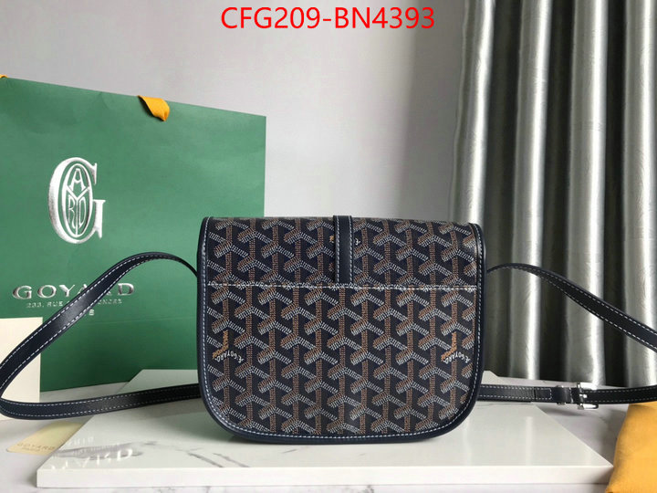 Goyard Bags(TOP)-Diagonal-,ID: BN4393,$: 209USD