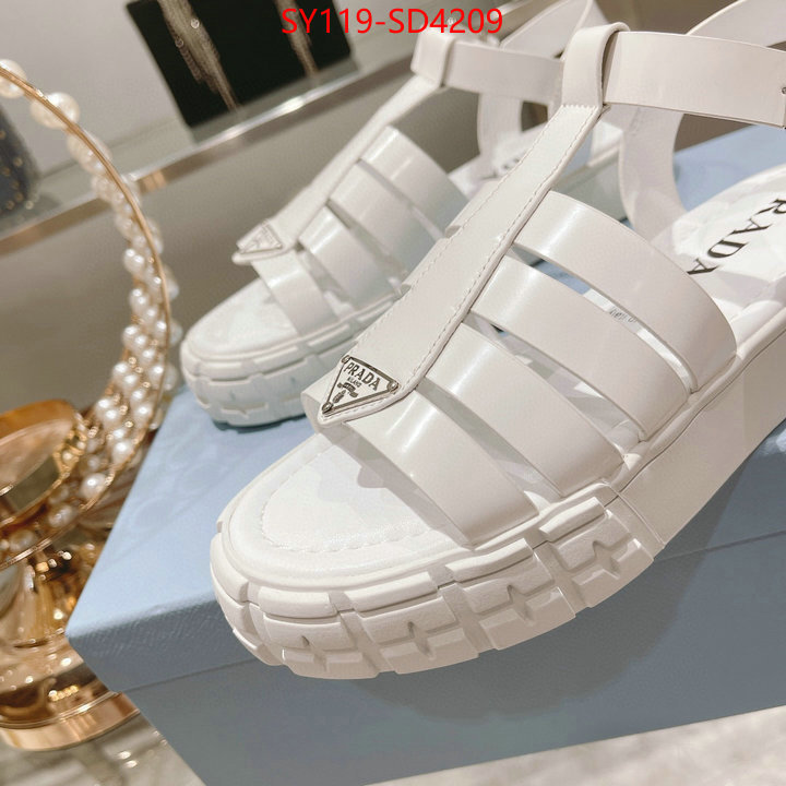 Women Shoes-Prada,fashion designer , ID: SD4209,$: 119USD