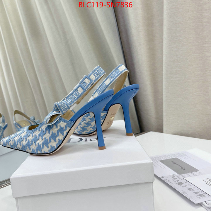 Women Shoes-Dior,what's the best to buy replica , ID: SN7836,$: 119USD