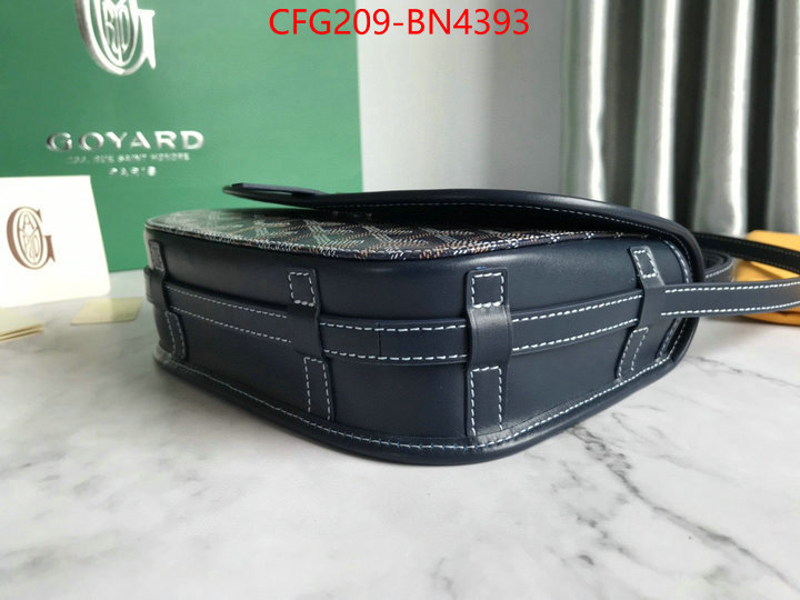 Goyard Bags(TOP)-Diagonal-,ID: BN4393,$: 209USD