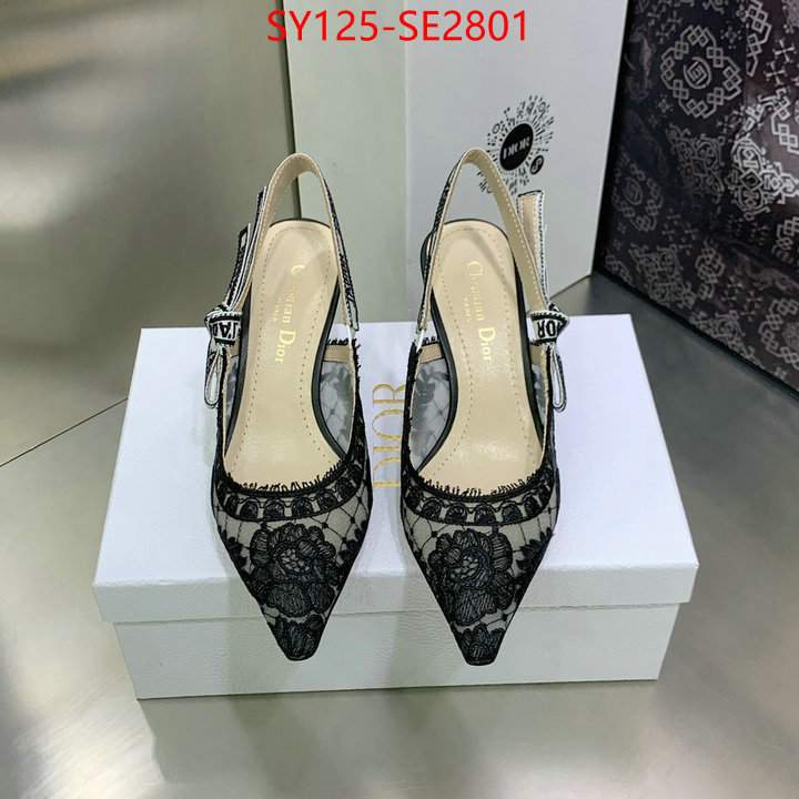 Women Shoes-Dior,the quality replica , ID: SE2801,$: 125USD