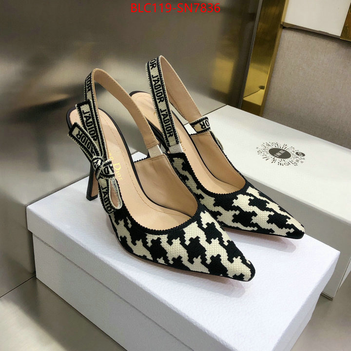 Women Shoes-Dior,what's the best to buy replica , ID: SN7836,$: 119USD