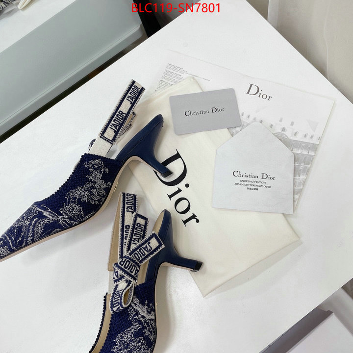 Women Shoes-Dior,what 1:1 replica , ID: SN7801,$: 119USD