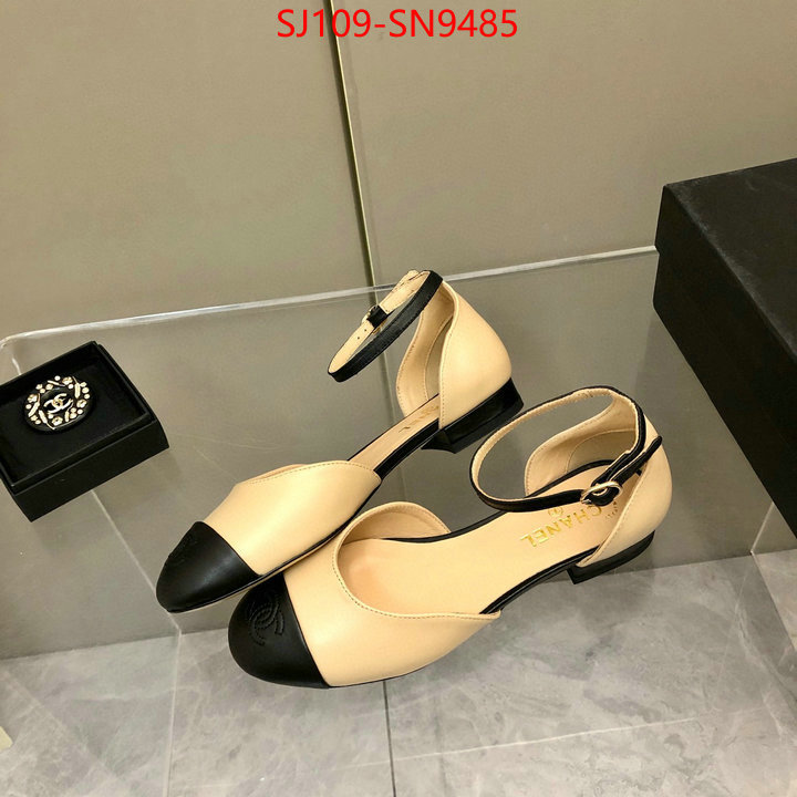 Women Shoes-Chanel,perfect replica , ID: SN9485,$: 109USD