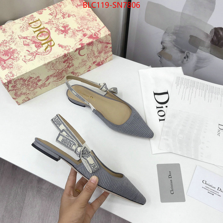 Women Shoes-Dior,how to find replica shop , ID: SN7806,$: 119USD