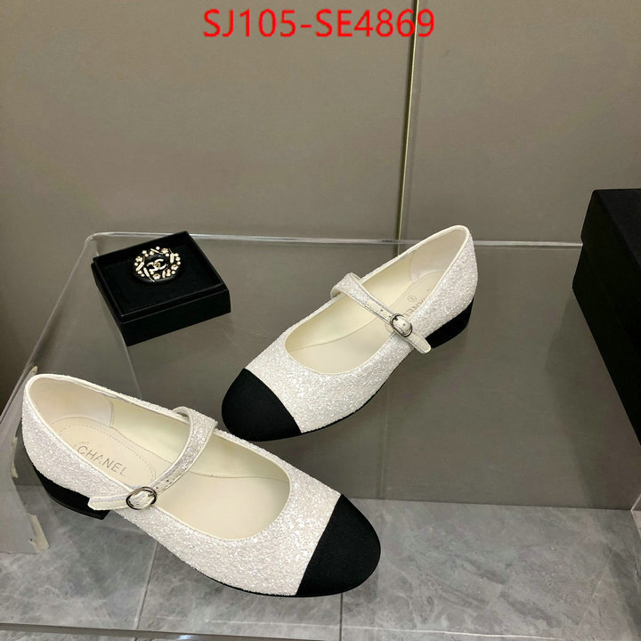 Women Shoes-Chanel,aaaaa quality replica , ID: SE4869,$: 105USD