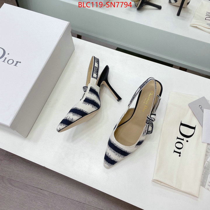 Women Shoes-Dior,online store , ID: SN7794,$: 119USD