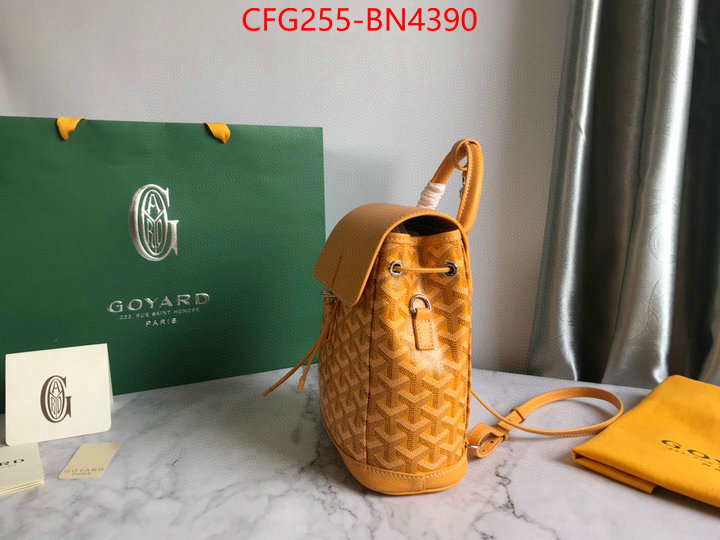 Goyard Bags(TOP)-Backpack-,ID: BN4390,$: 255USD