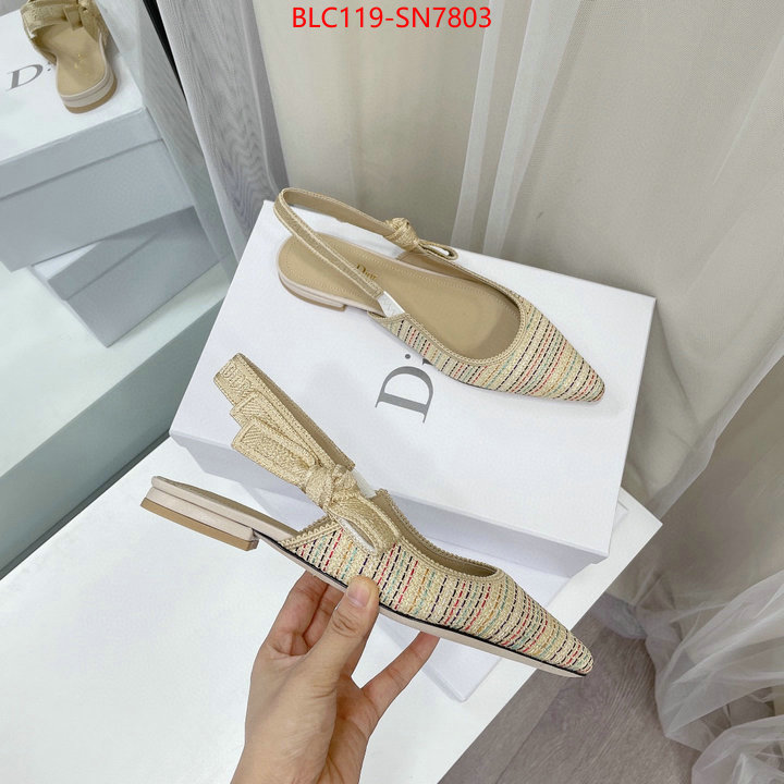 Women Shoes-Dior,replica designer , ID: SN7803,$: 119USD