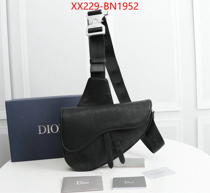 Dior Bags(TOP)-Saddle-,ID: BN1952,$: 229USD