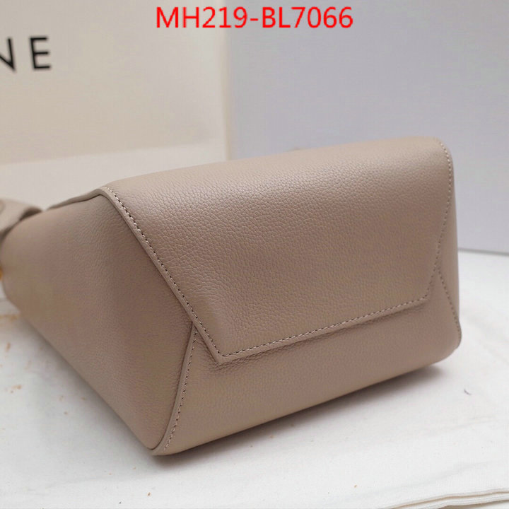 CELINE Bags(TOP)-Diagonal,highest quality replica ,ID: BL7066,$: 219USD