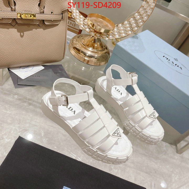 Women Shoes-Prada,fashion designer , ID: SD4209,$: 119USD