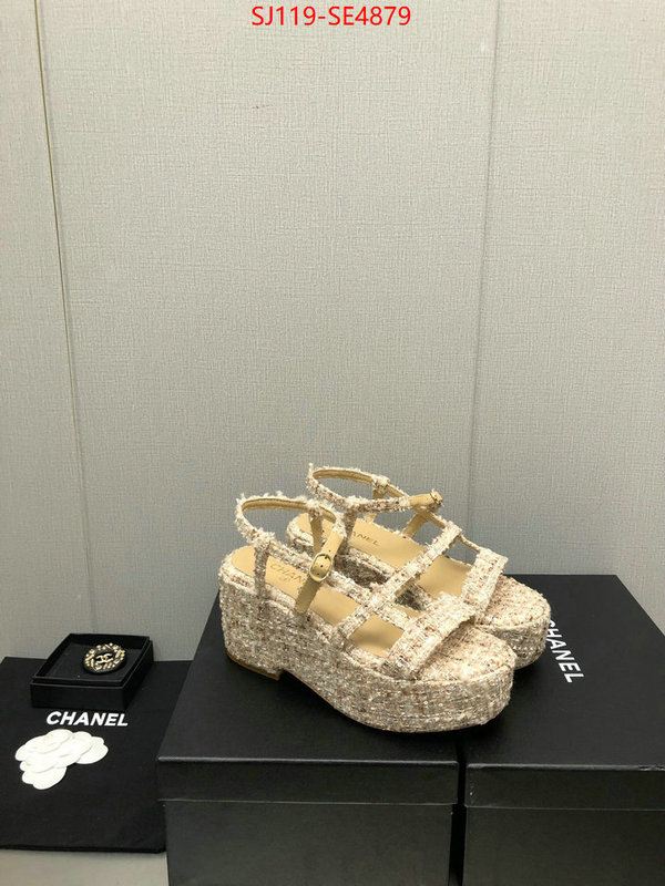 Women Shoes-Chanel,cheap replica designer , ID: SE4879,$: 119USD