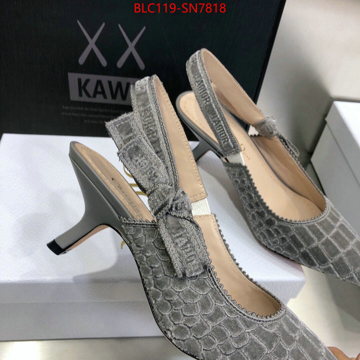 Women Shoes-Dior,aaaaa+ quality replica , ID: SN7818,$: 119USD