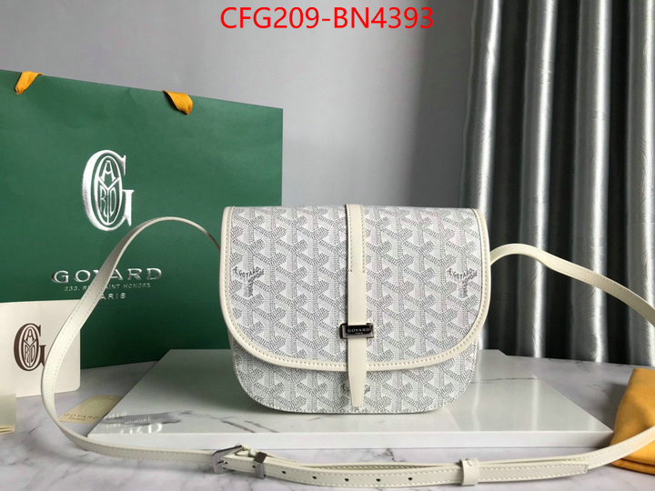 Goyard Bags(TOP)-Diagonal-,ID: BN4393,$: 209USD