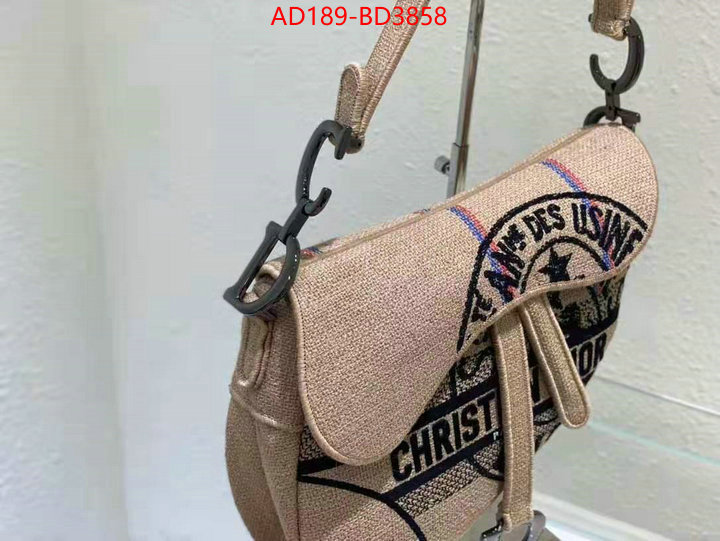 Dior Bags(TOP)-Saddle-,ID: BD3858,$: 189USD