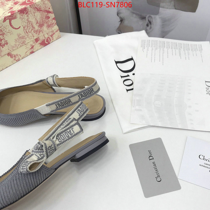 Women Shoes-Dior,how to find replica shop , ID: SN7806,$: 119USD