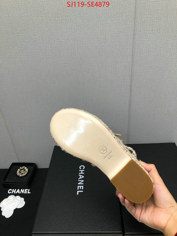 Women Shoes-Chanel,cheap replica designer , ID: SE4879,$: 119USD