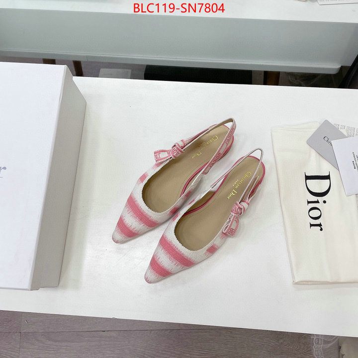 Women Shoes-Dior,wholesale designer shop , ID: SN7804,$: 119USD