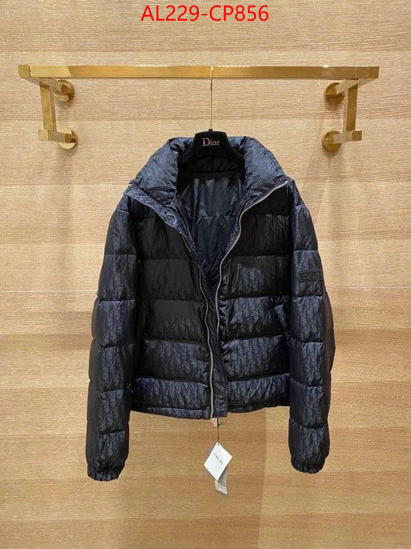 Down jacket Women-Dior,china sale , ID: CP856,$: 229USD