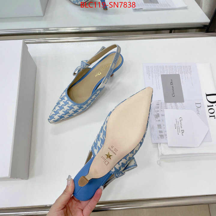 Women Shoes-Dior,can i buy replica , ID: SN7838,$: 119USD