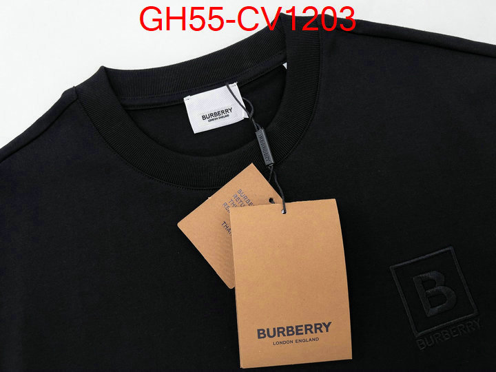 Clothing-Burberry,where can i buy the best 1:1 original , ID: CV1203,$: 55USD