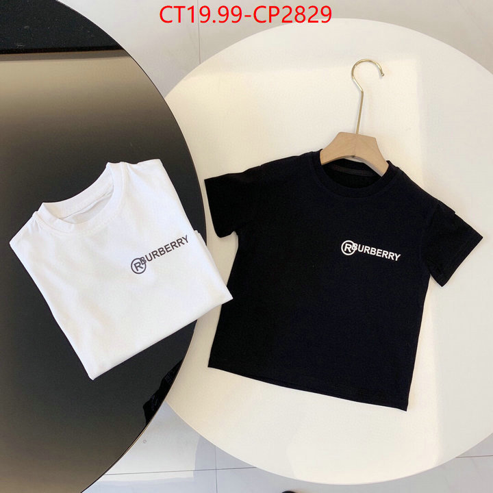 Kids clothing-Burberry,replica sale online , ID: CP2829,