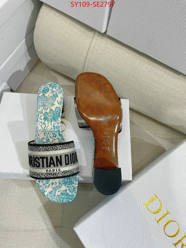 Women Shoes-Dior,shop the best high authentic quality replica , ID: SE2797,$: 109USD