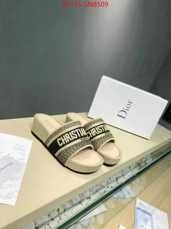 Women Shoes-Dior,sell online , ID: SN8509,$: 115USD