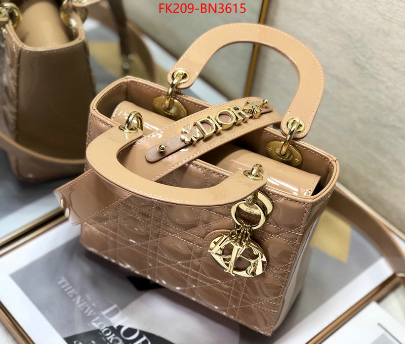 Dior Bags(TOP)-Lady-,ID: BN3615,$: 209USD