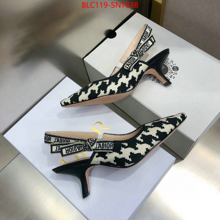 Women Shoes-Dior,can i buy replica , ID: SN7838,$: 119USD