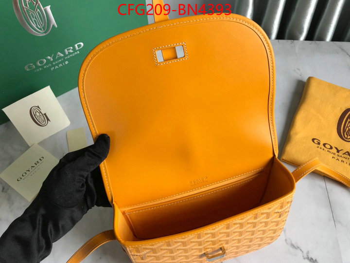 Goyard Bags(TOP)-Diagonal-,ID: BN4393,$: 209USD