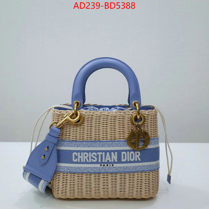 Dior Bags(TOP)-Other Style-,ID: BD5388,$: 239USD