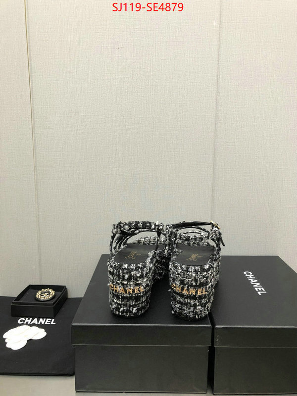 Women Shoes-Chanel,cheap replica designer , ID: SE4879,$: 119USD